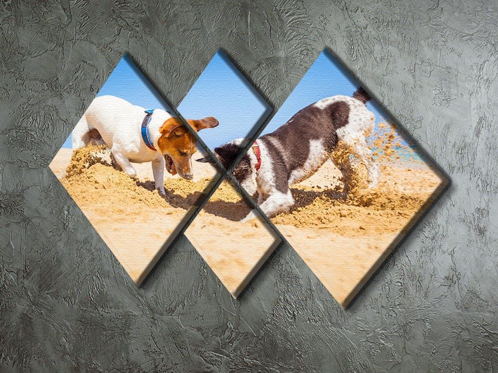 Jack russell couple of dogs digging a hole 4 Square Multi Panel Canvas - Canvas Art Rocks - 2