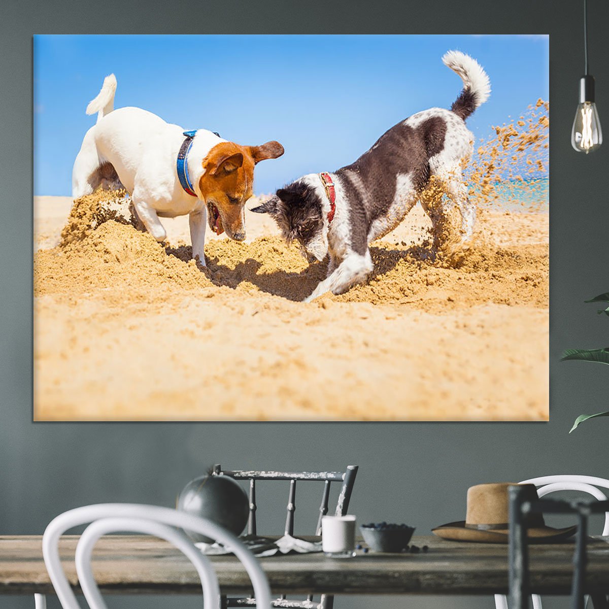 Jack russell couple of dogs digging a hole Canvas Print or Poster