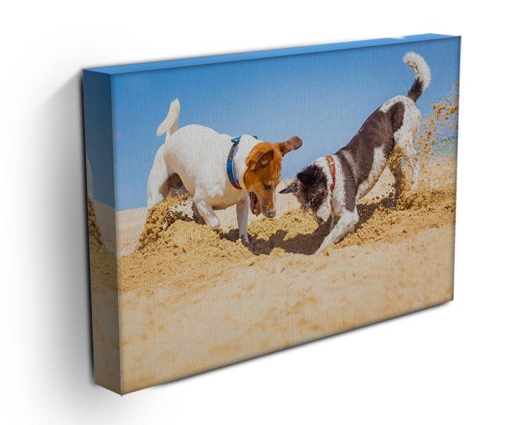 Jack russell couple of dogs digging a hole Canvas Print or Poster - Canvas Art Rocks - 3