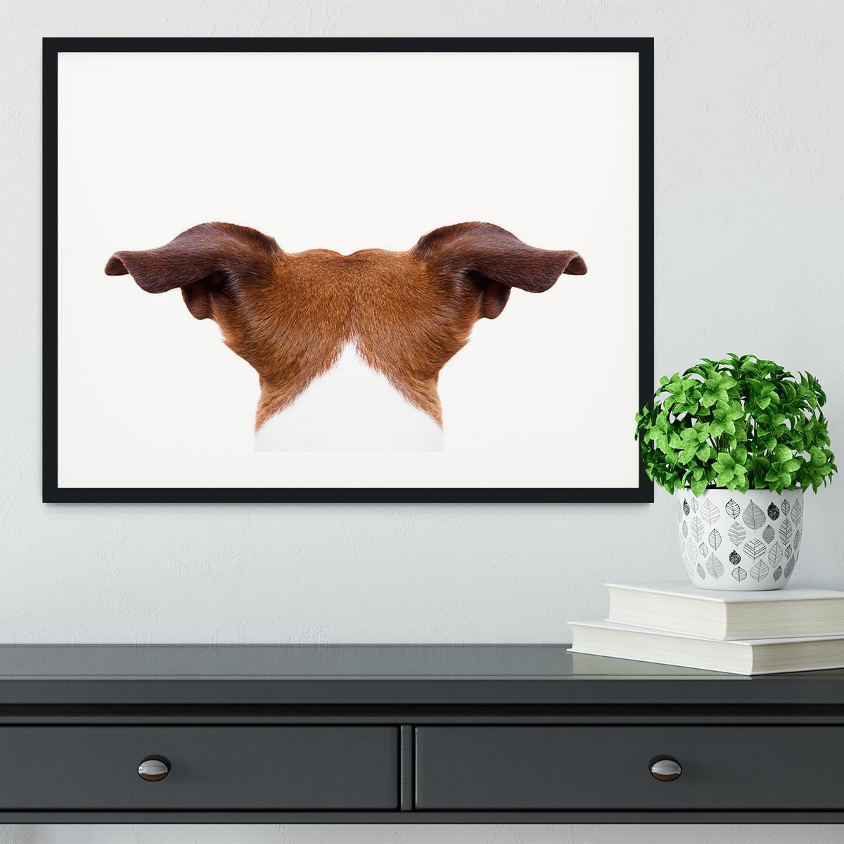 Jack russell dog looking and staring Framed Print - Canvas Art Rocks - 1