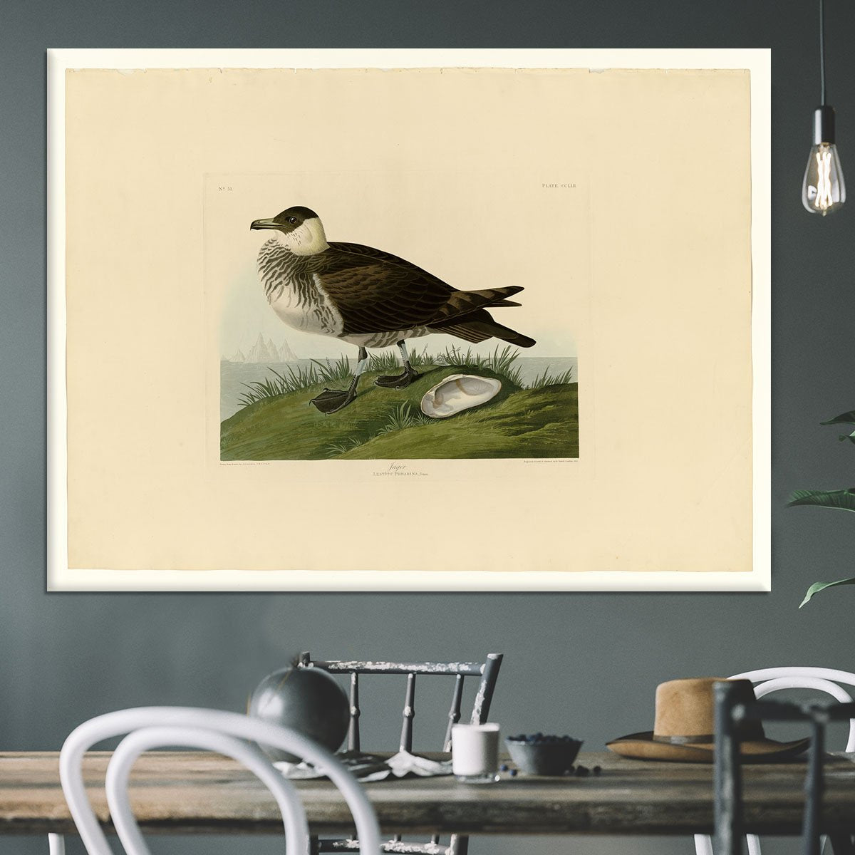 Jager by Audubon Canvas Print or Poster