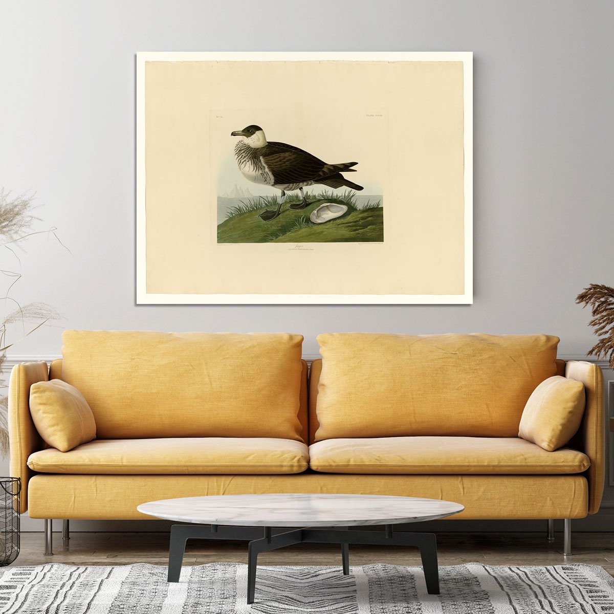 Jager by Audubon Canvas Print or Poster