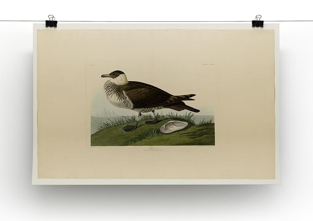 Jager by Audubon Canvas Print or Poster - Canvas Art Rocks - 2