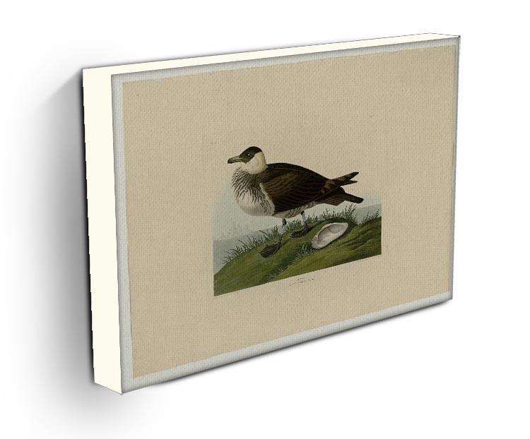 Jager by Audubon Canvas Print or Poster - Canvas Art Rocks - 3