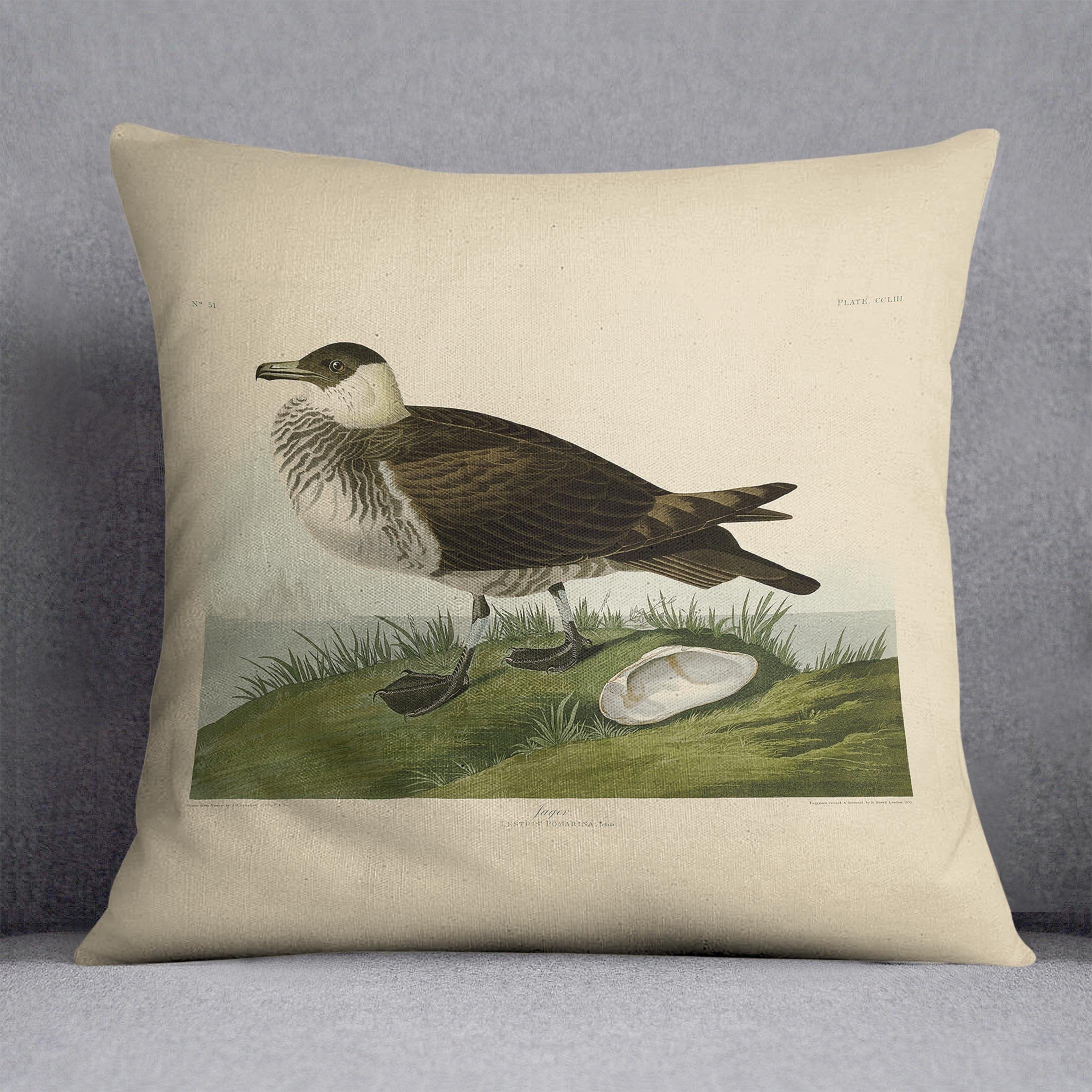 Jager by Audubon Cushion