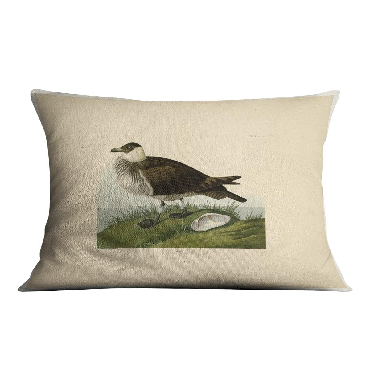 Jager by Audubon Cushion