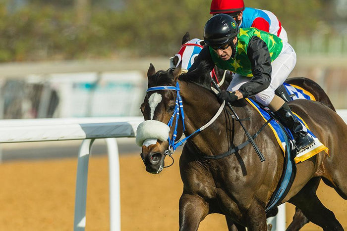 Jockeys action close-up Wall Mural Wallpaper