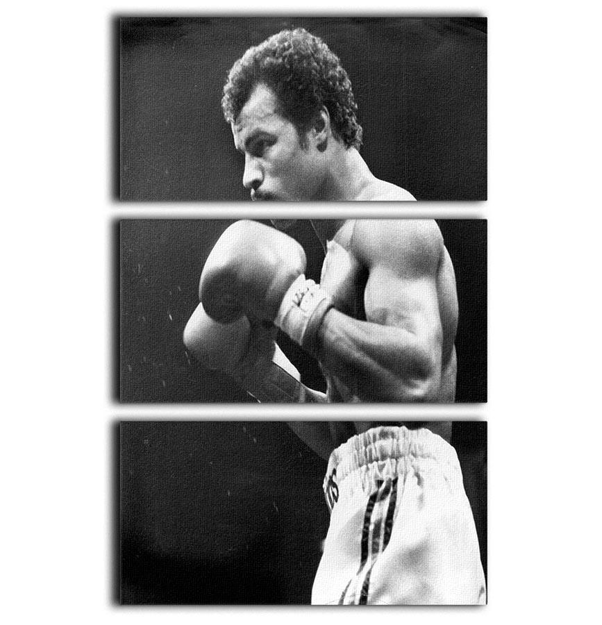 John Conteh boxer 3 Split Panel Canvas Print - Canvas Art Rocks - 1