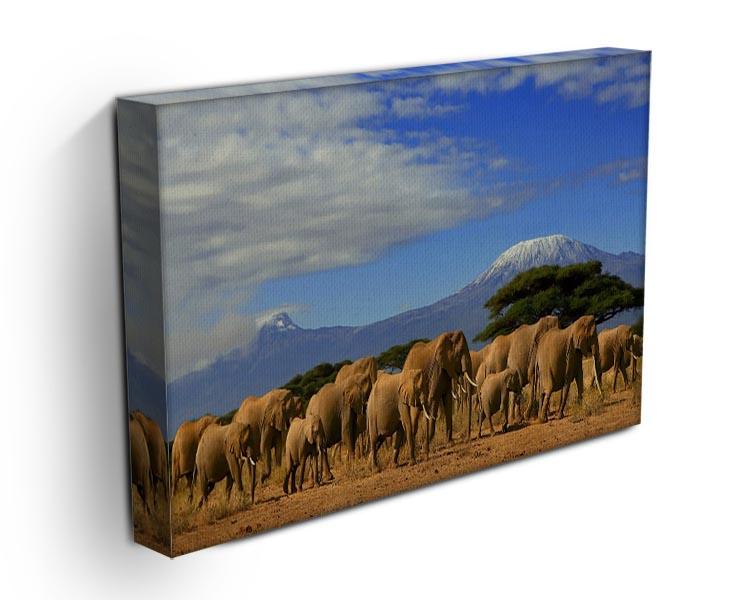 Kilimanjaro And Elephants Canvas Print or Poster - Canvas Art Rocks - 3