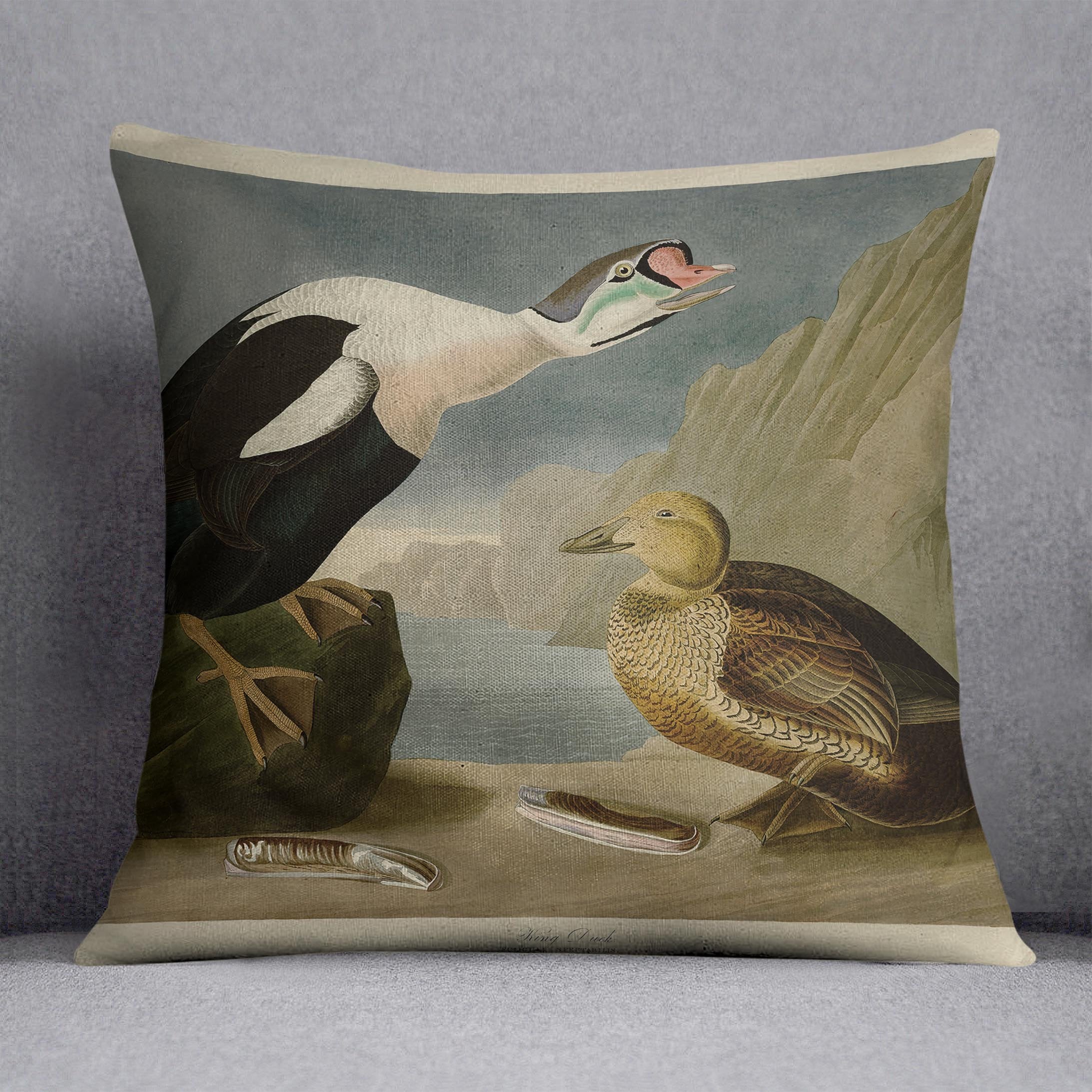 King Duck by Audubon Cushion