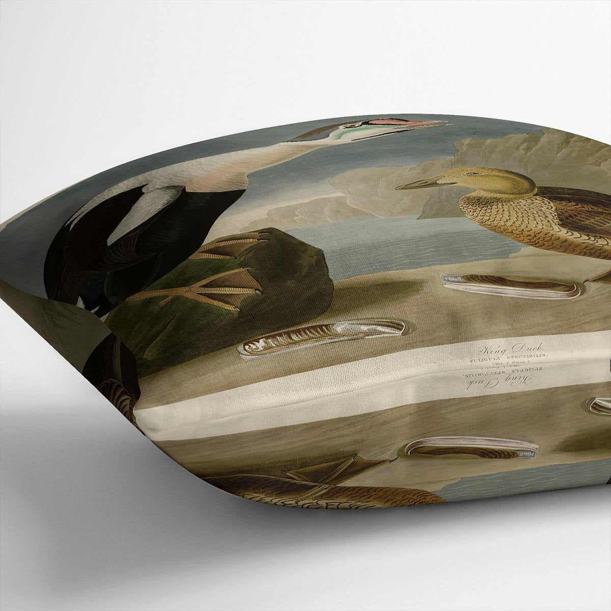 King Duck by Audubon Cushion