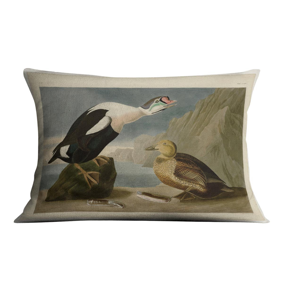 King Duck by Audubon Cushion