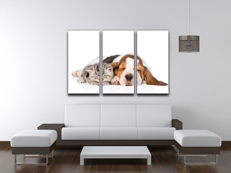 Kitten and puppy sleeping together. isolated on white background 3 Split Panel Canvas Print - Canvas Art Rocks - 3