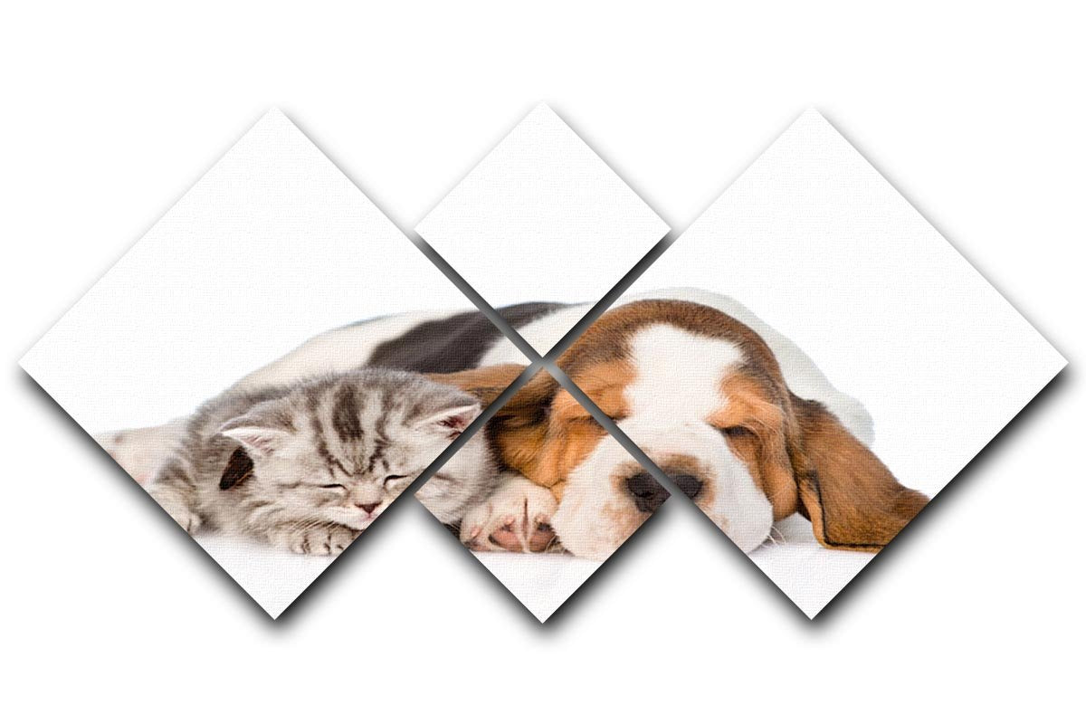 Kitten and puppy sleeping together. isolated on white background 4 Square Multi Panel Canvas - Canvas Art Rocks - 1