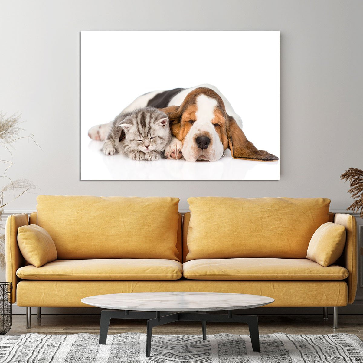 Kitten and puppy sleeping together. isolated on white background Canvas Print or Poster