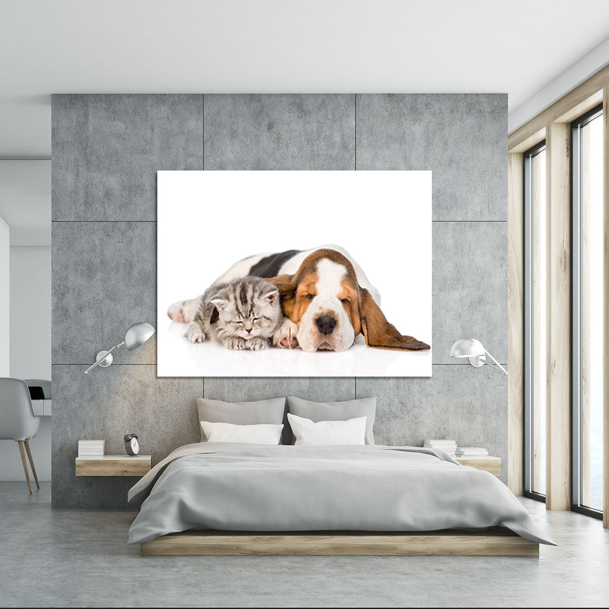 Kitten and puppy sleeping together. isolated on white background Canvas Print or Poster