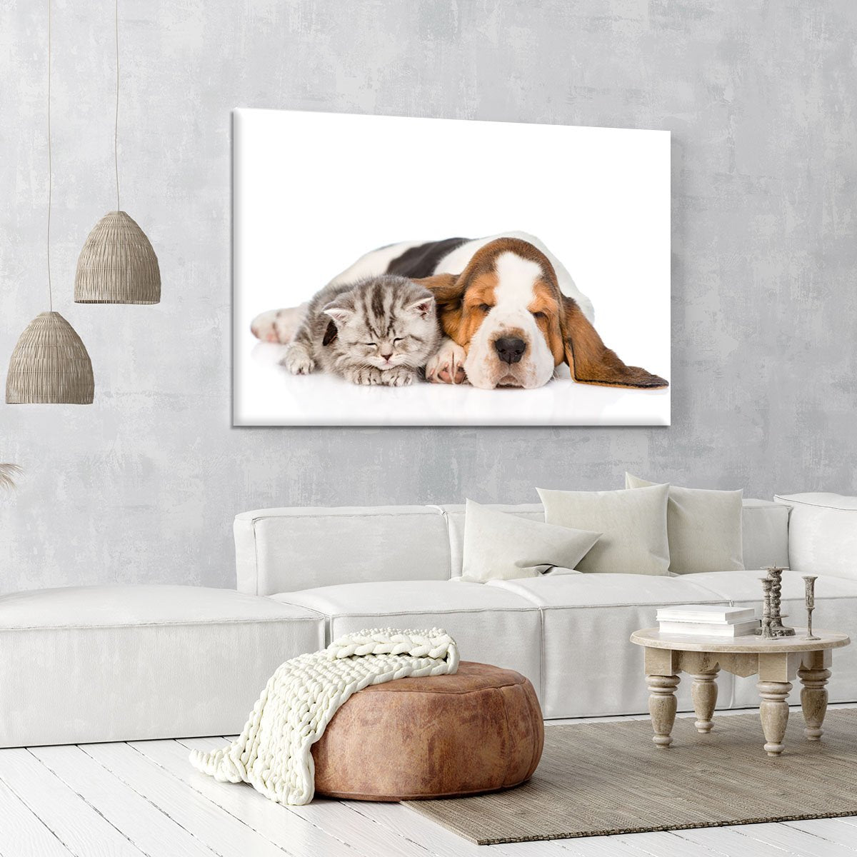 Kitten and puppy sleeping together. isolated on white background Canvas Print or Poster