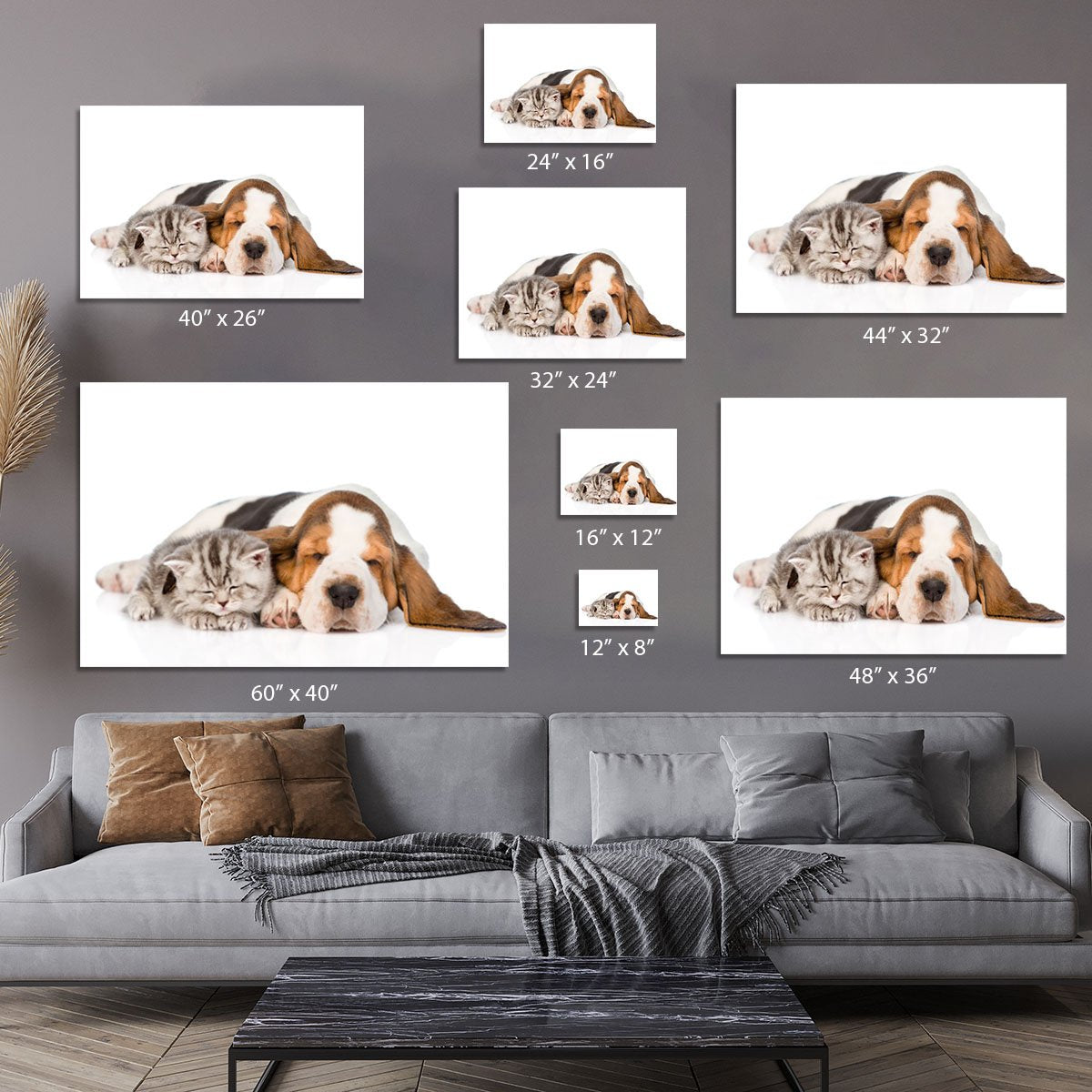 Kitten and puppy sleeping together. isolated on white background Canvas Print or Poster
