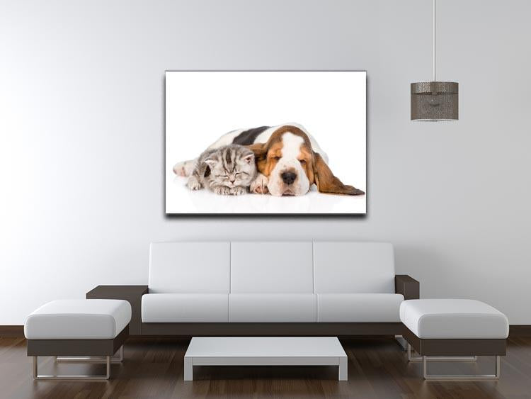 Kitten and puppy sleeping together. isolated on white background Canvas Print or Poster - Canvas Art Rocks - 4