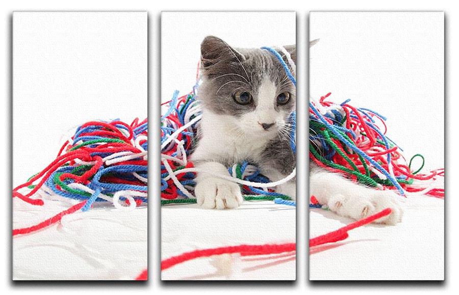 Kitten playing with yarn 3 Split Panel Canvas Print - Canvas Art Rocks - 1