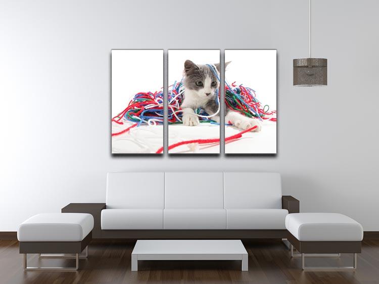 Kitten playing with yarn 3 Split Panel Canvas Print - Canvas Art Rocks - 3