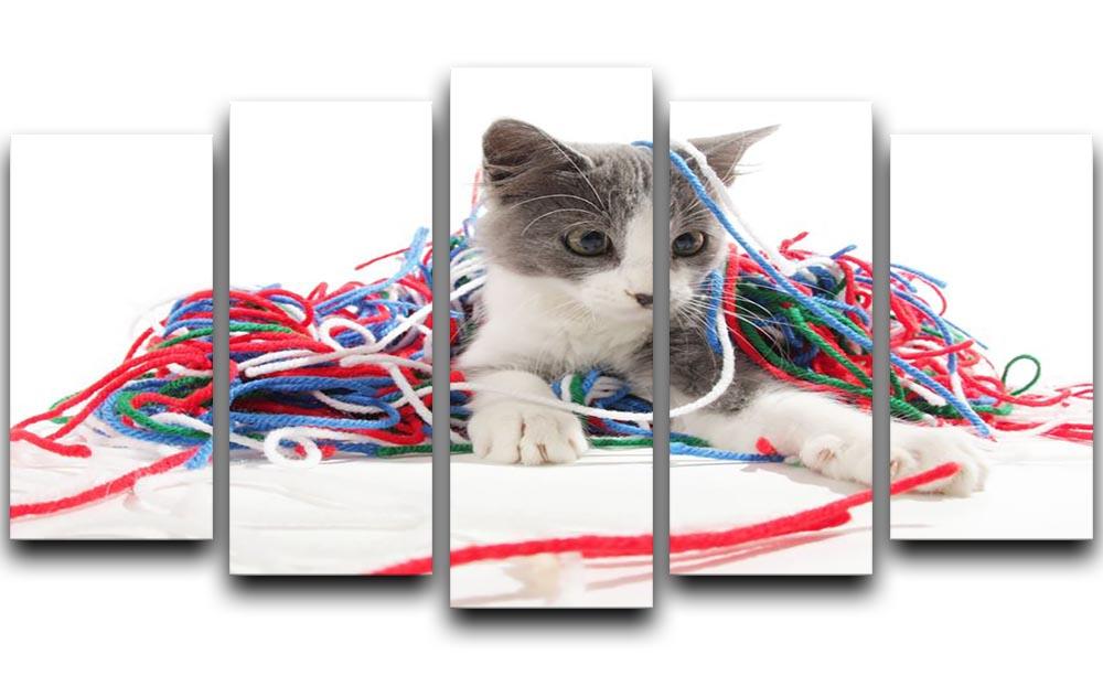 Kitten playing with yarn 5 Split Panel Canvas - Canvas Art Rocks - 1