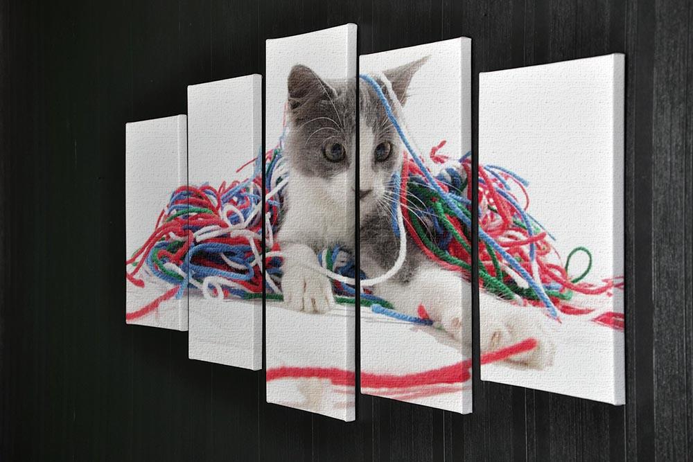 Kitten playing with yarn 5 Split Panel Canvas - Canvas Art Rocks - 2
