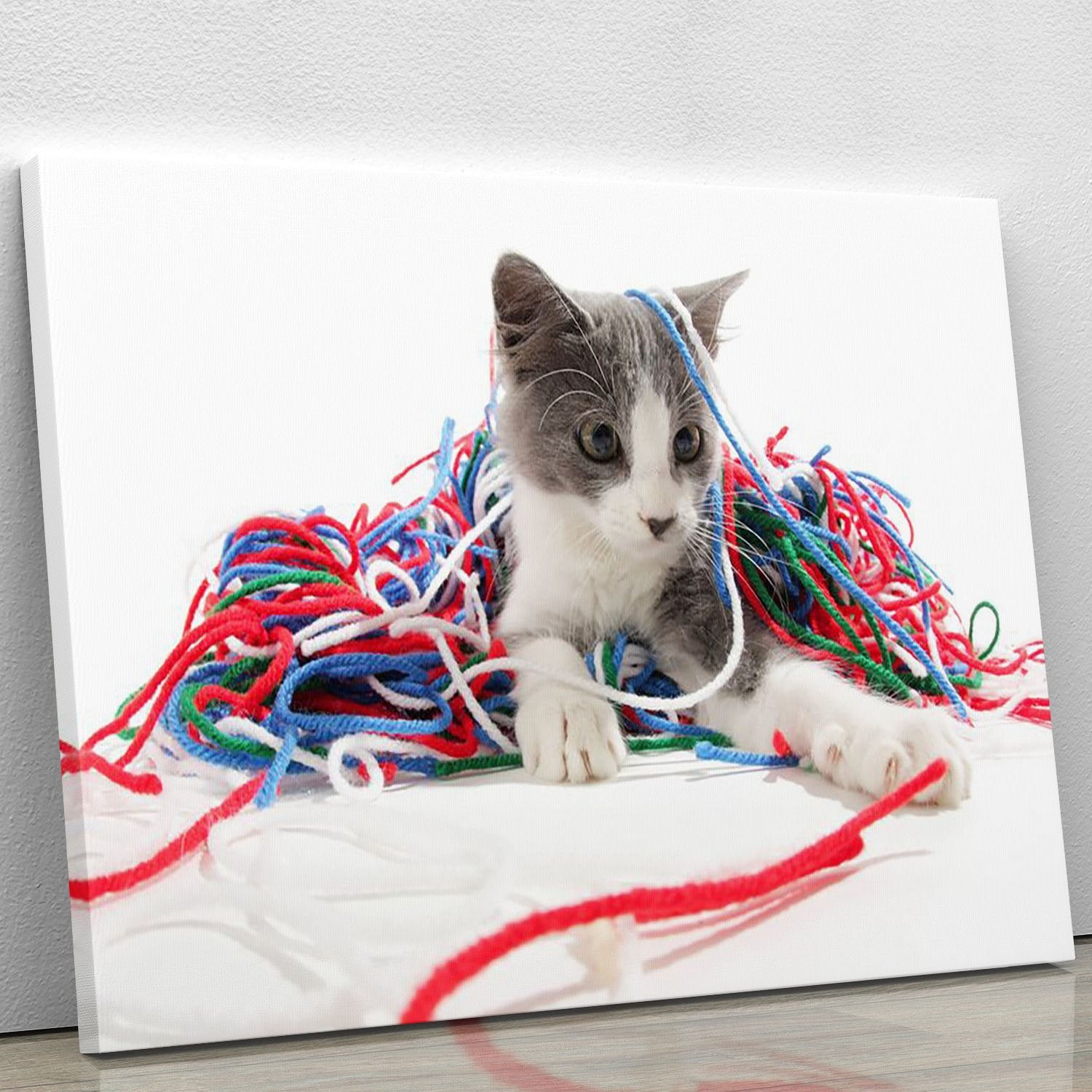 Kitten playing with yarn Canvas Print or Poster
