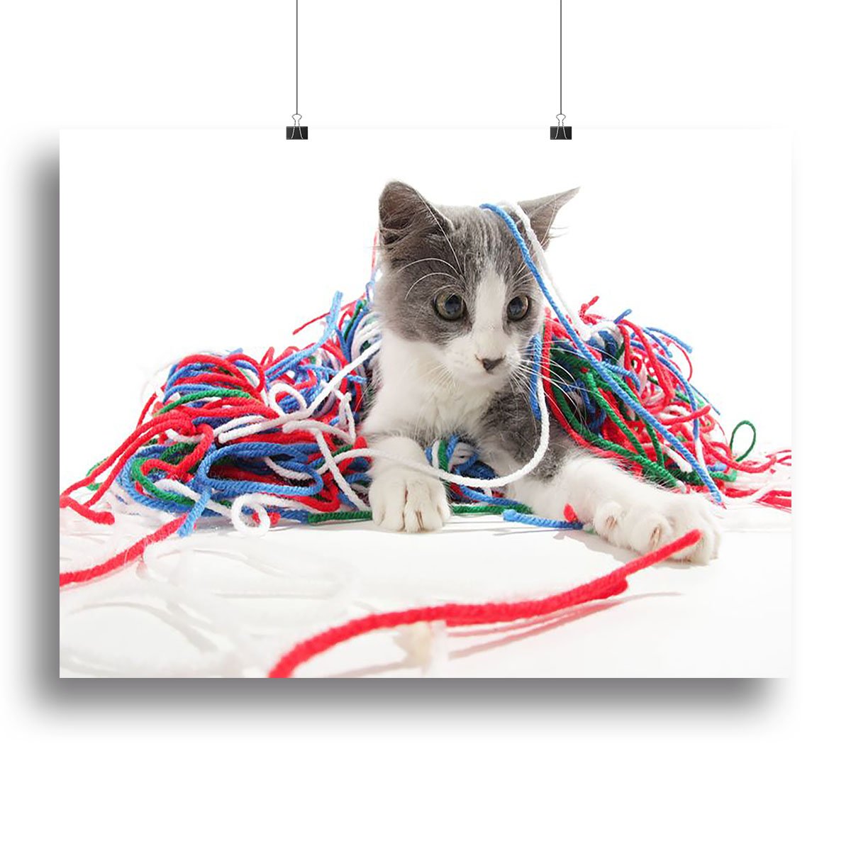 Kitten playing with yarn Canvas Print or Poster