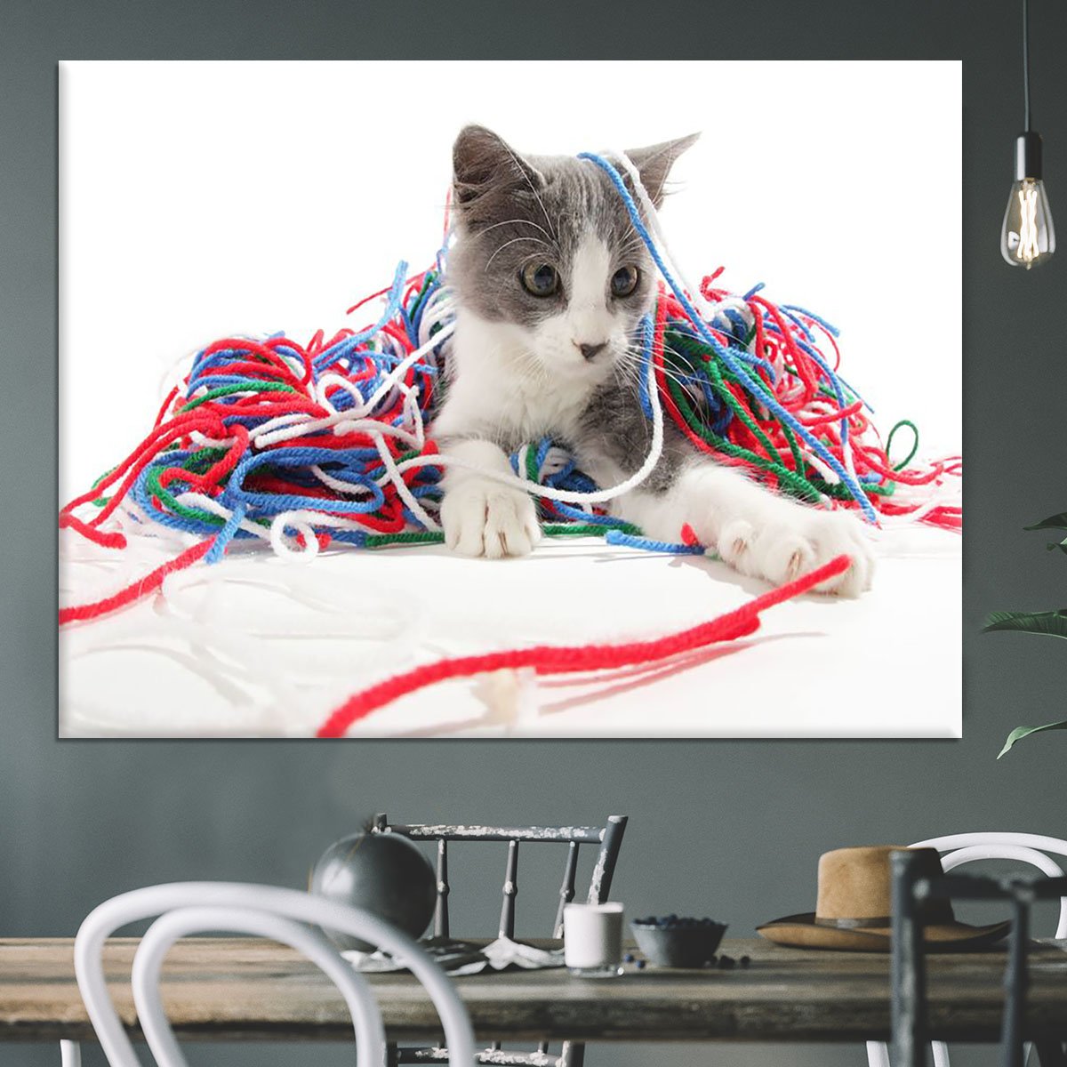 Kitten playing with yarn Canvas Print or Poster