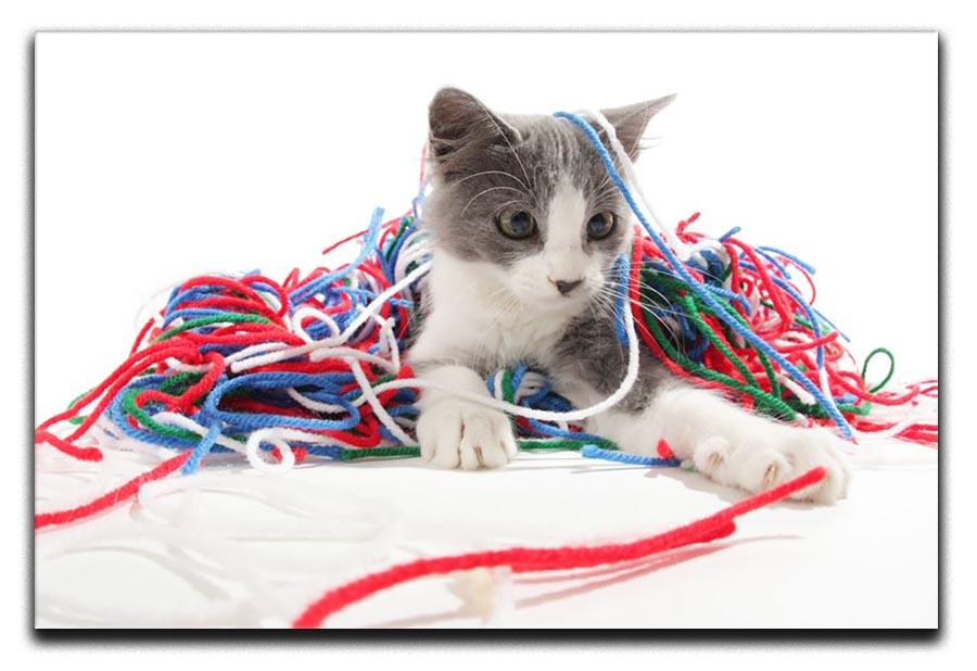 Kitten playing with yarn Canvas Print or Poster - Canvas Art Rocks - 1