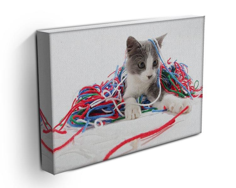Kitten playing with yarn Canvas Print or Poster - Canvas Art Rocks - 3