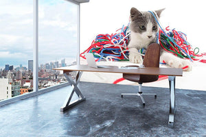 Kitten playing with yarn Wall Mural Wallpaper - Canvas Art Rocks - 3