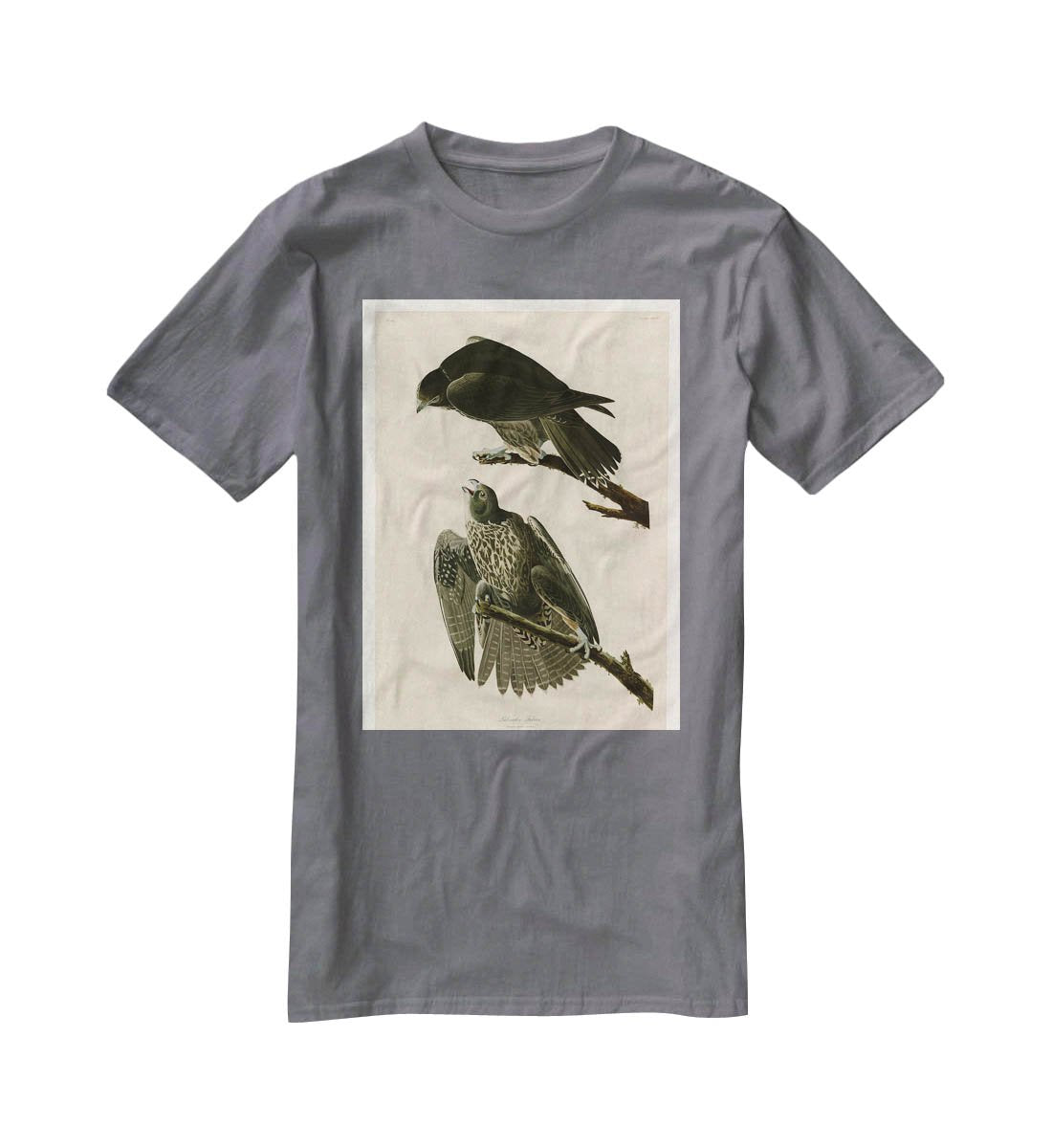 Labrador Falcon by Audubon T-Shirt - Canvas Art Rocks - 3