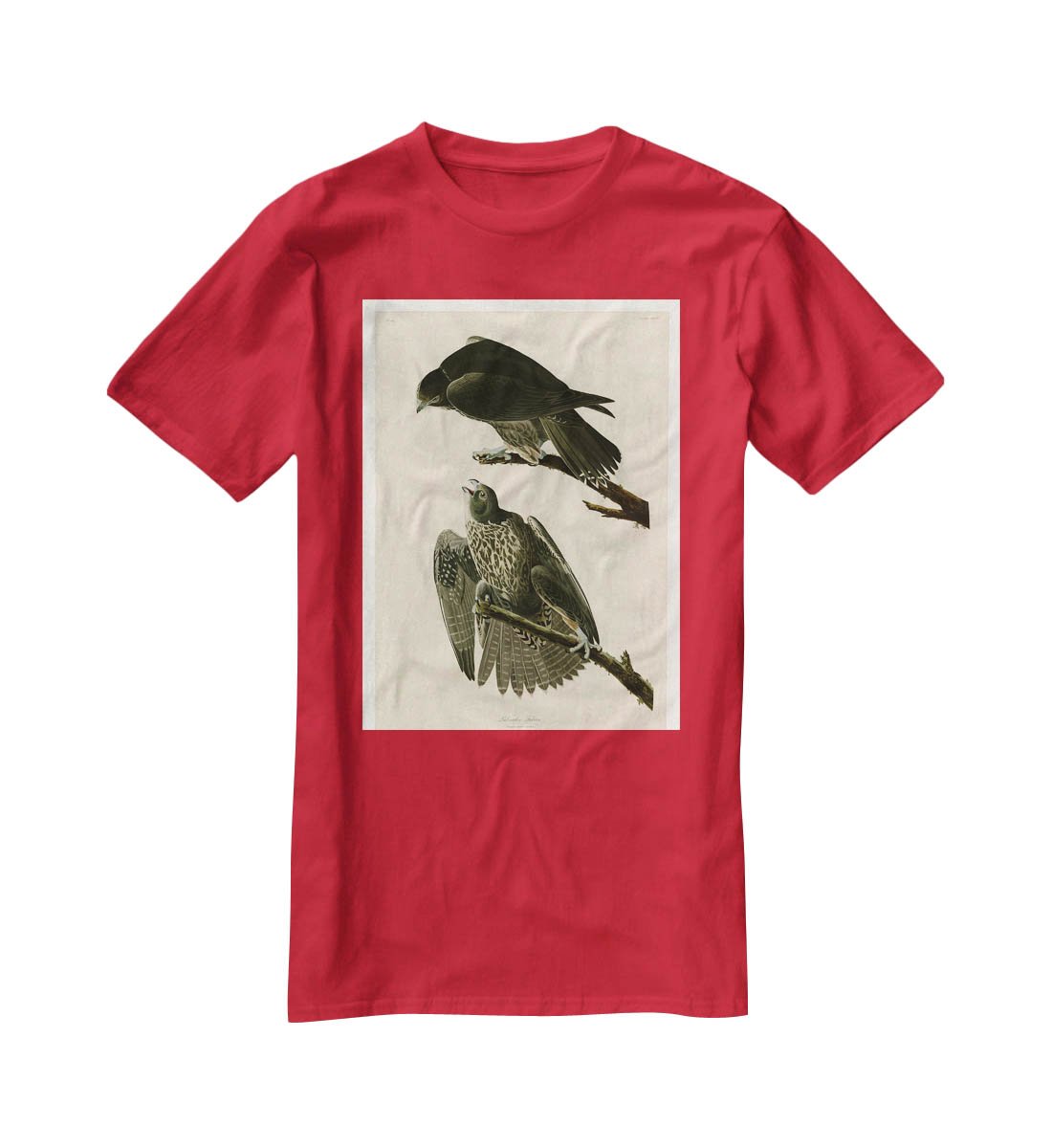 Labrador Falcon by Audubon T-Shirt - Canvas Art Rocks - 4