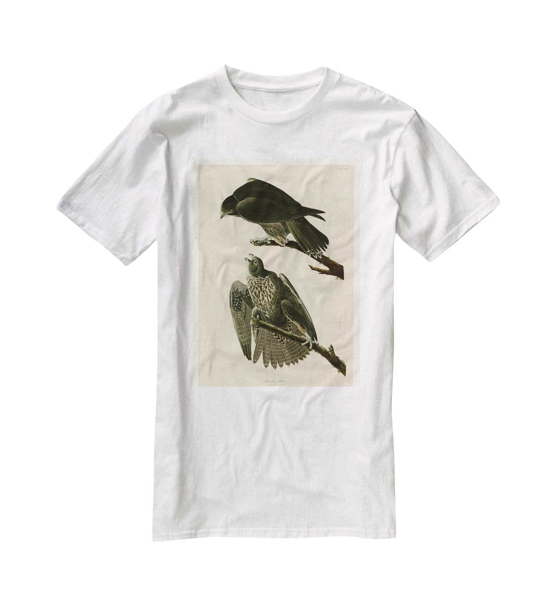 Labrador Falcon by Audubon T-Shirt - Canvas Art Rocks - 5
