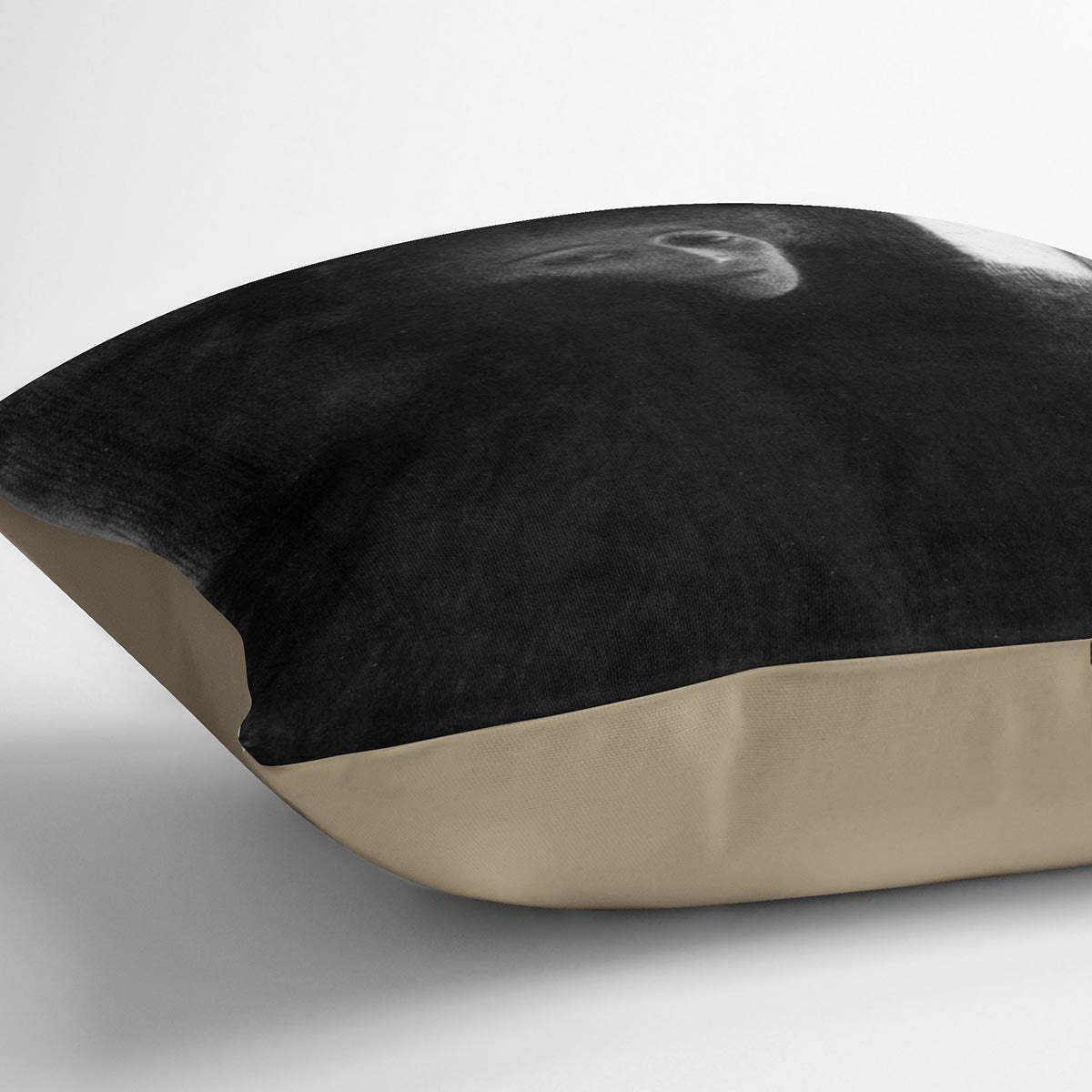 Lady with a hat and Cape by Klimt Throw Pillow