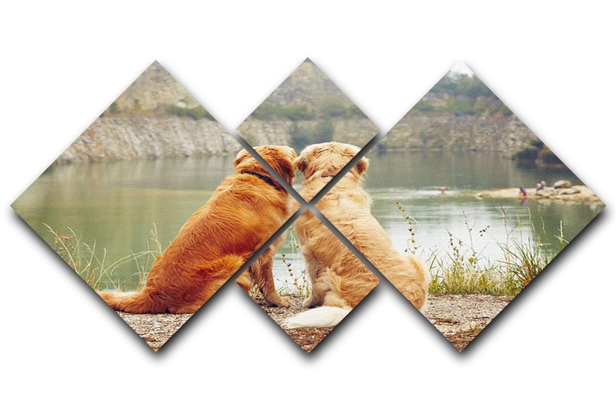 Lake for swimming. Two golden retriever dogs 4 Square Multi Panel Canvas - Canvas Art Rocks - 1