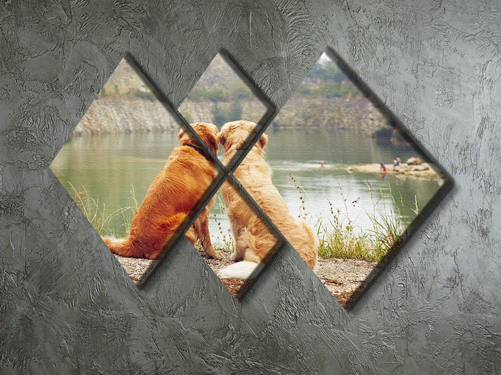 Lake for swimming. Two golden retriever dogs 4 Square Multi Panel Canvas - Canvas Art Rocks - 2