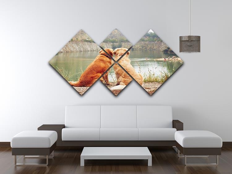 Lake for swimming. Two golden retriever dogs 4 Square Multi Panel Canvas - Canvas Art Rocks - 3