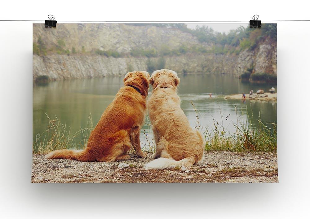 Lake for swimming. Two golden retriever dogs Canvas Print or Poster - Canvas Art Rocks - 2