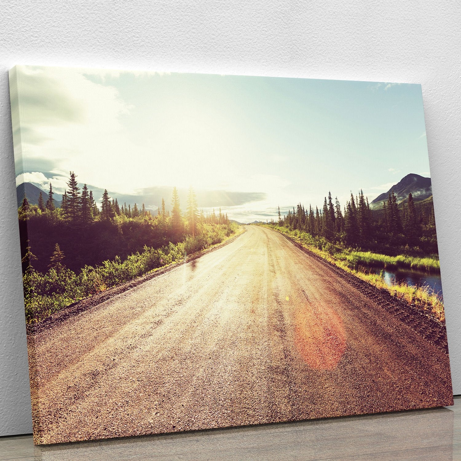 Landscapes on Denali highway Canvas Print or Poster