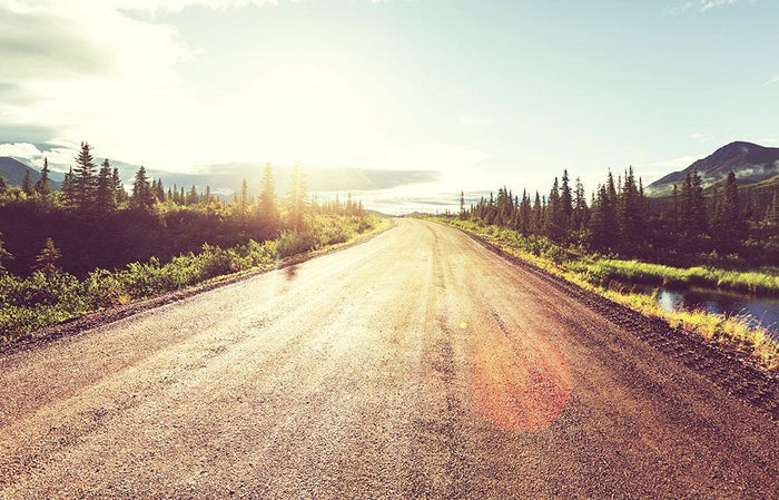 Landscapes on Denali highway Wall Mural Wallpaper