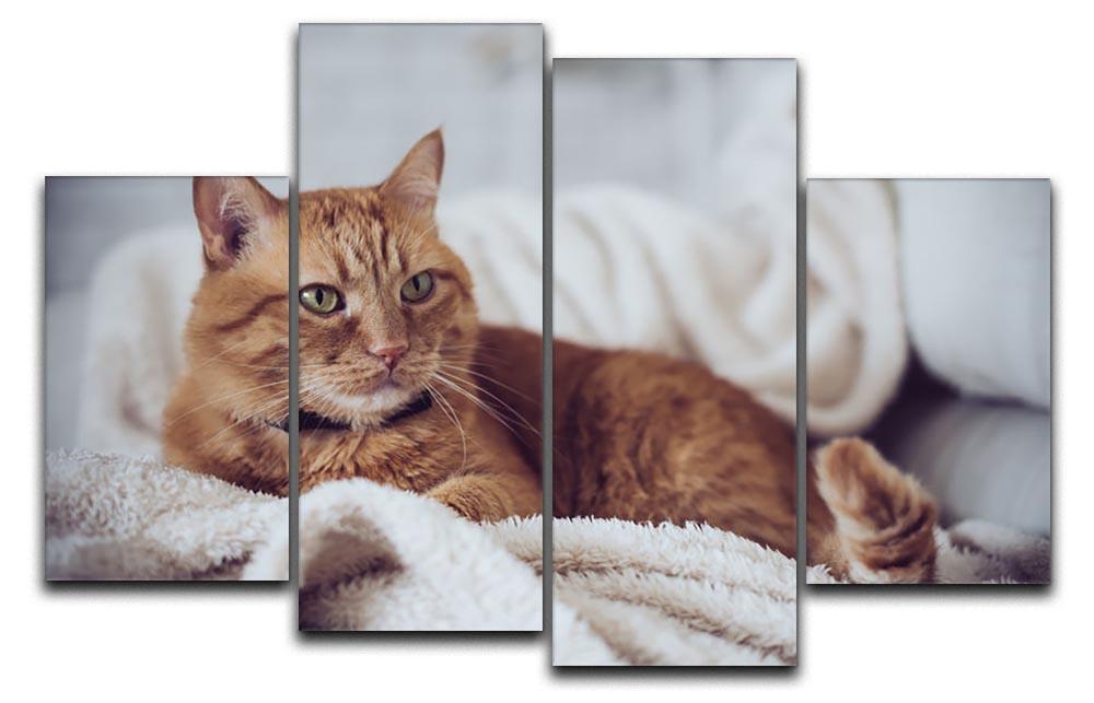 Large home fluffy ginger cat lying on the sofa 4 Split Panel Canvas - Canvas Art Rocks - 1
