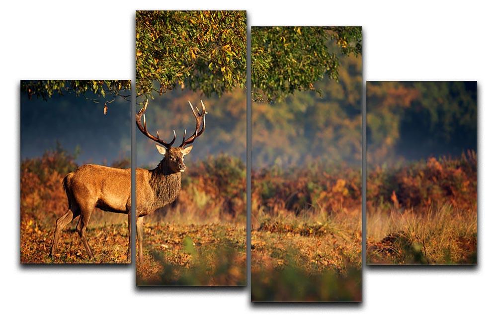 Large red deer stag in autumn 4 Split Panel Canvas - Canvas Art Rocks - 1