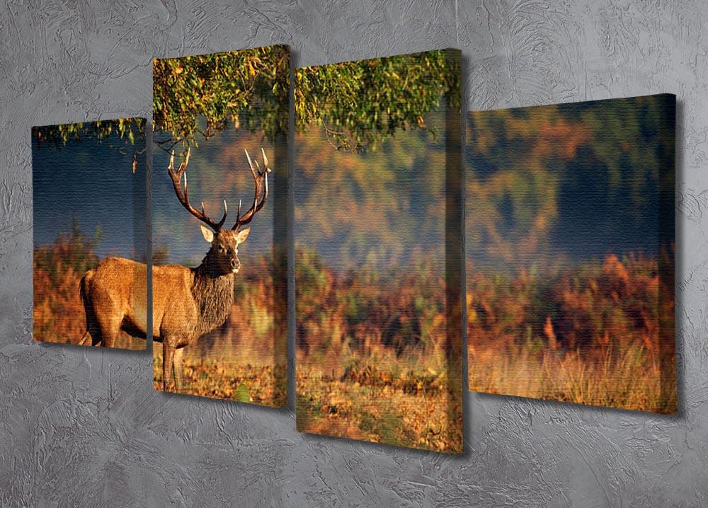 Large red deer stag in autumn 4 Split Panel Canvas - Canvas Art Rocks - 2