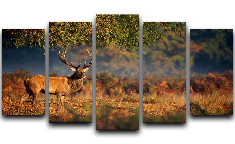 Large red deer stag in autumn 5 Split Panel Canvas - Canvas Art Rocks - 1