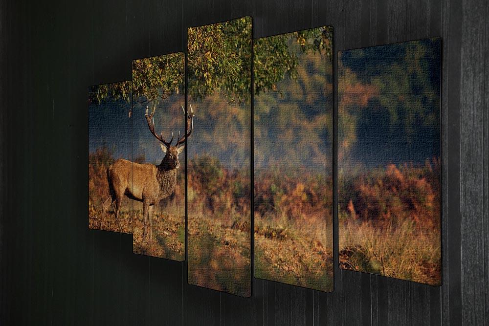 Large red deer stag in autumn 5 Split Panel Canvas - Canvas Art Rocks - 2