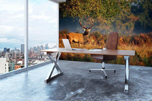 Large red deer stag in autumn Wall Mural Wallpaper - Canvas Art Rocks - 3