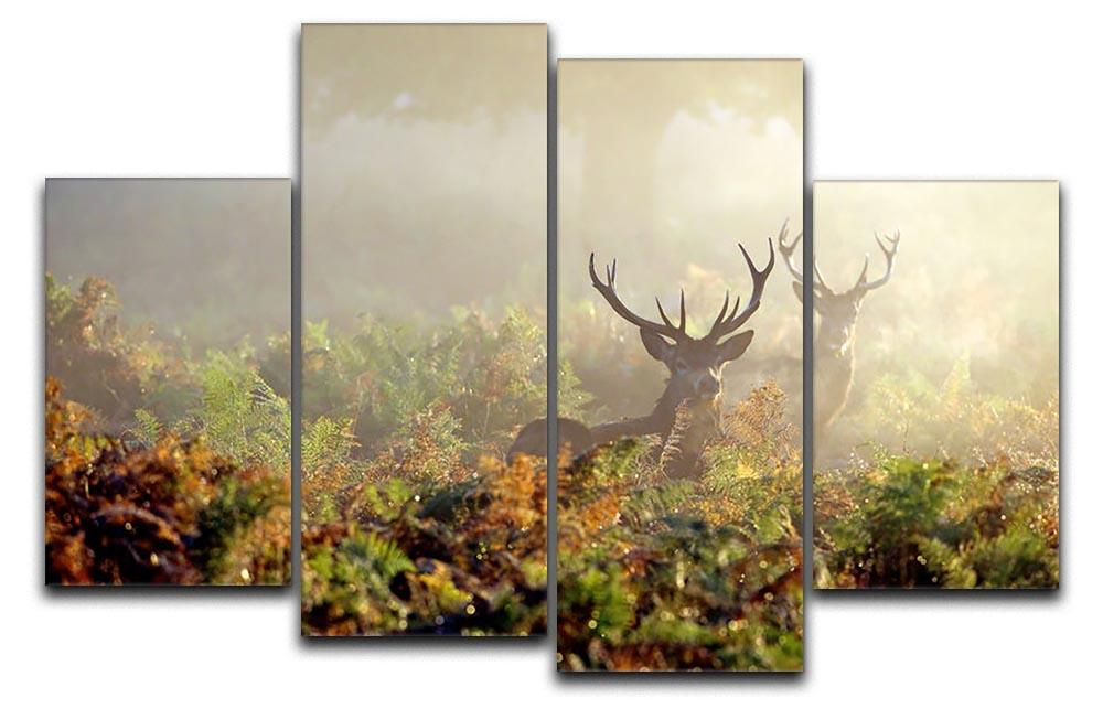 Large red deer stag in mist 4 Split Panel Canvas - Canvas Art Rocks - 1